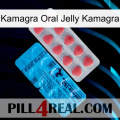 Kamagra Oral Jelly Kamagra new14